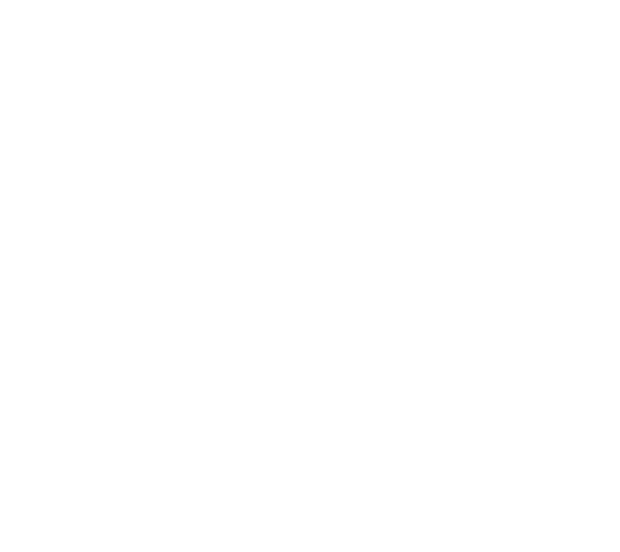 Santunes Transportes Express